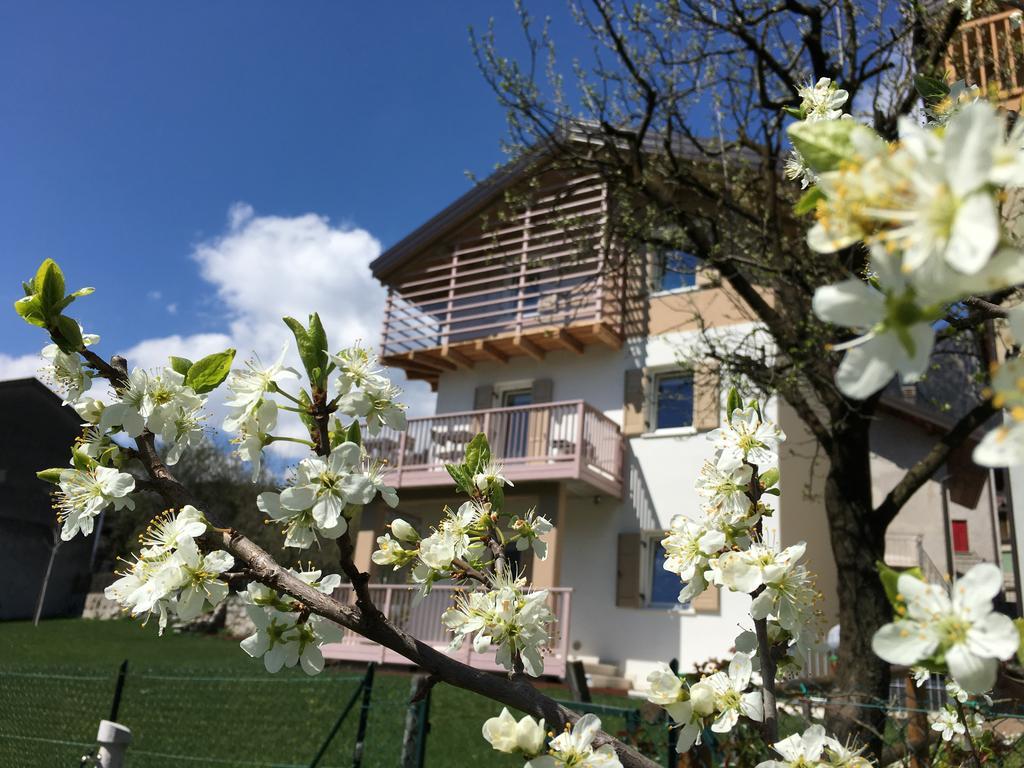 B&B Il Piccolo Principe Room And Breakfast Bieno  ภายนอก รูปภาพ